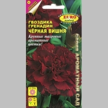 Гвоздика Чёрная вишня (Гренадин)