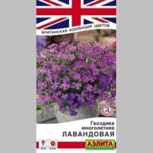 Гвоздика Лавандовая (многолетняя)