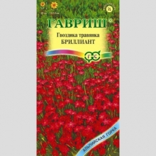 Гвоздика Бриллиант (травянка)