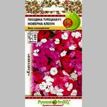 Гвоздика турецкая Новерна клоун F1