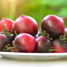 Томат H-34 Rot (Belle coeur)