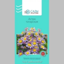 Астра Татарская
