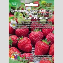 Земляника Диво дивное ремонтантная (большой пакет)