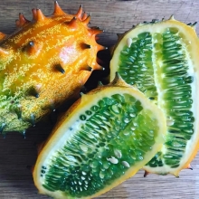 Кивано Дикобраз