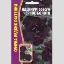 Адениум Черное Болото (тучный) (большой пакет)