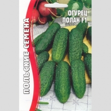 Огурец Полан F1 (большой пакет)