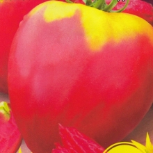 Томат Королевич