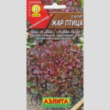 Салат Жар птица (листовой)