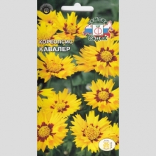 Кореопсис Кавалер