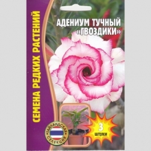 Адениум Гвоздики (тучный) (большой пакет)