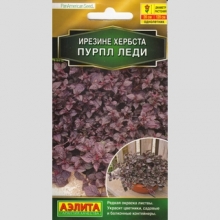 Ирезине Пурпл леди