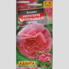Бегония Америгибрид гофрированная F1 Розовая