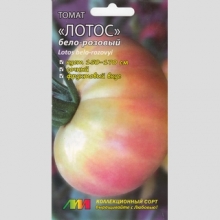 Томат Лотос Бело-розовый