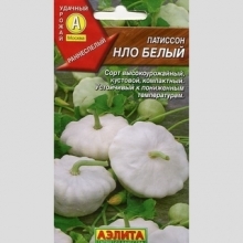 Патиссон НЛО белый