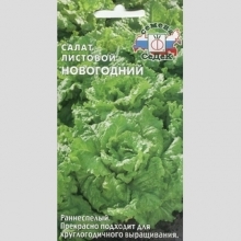 Салат Новогодний листовой