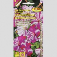 Мирабилис Клубничное шампанское (Ялапа)
