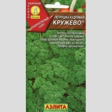 Петрушка Кружево (кудрявая)