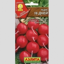 Редис 16 дней