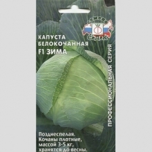 Капуста Зима F1