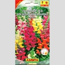 Львиный зев Бразильский карнавал смесь (Антирринум)