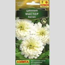 Цинния Мастер Белая