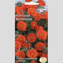 Портулак Вспышка