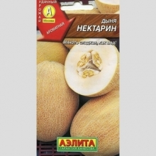 Дыня Нектарин