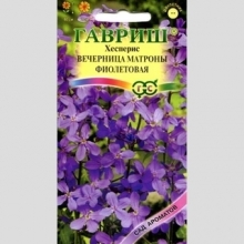 Хесперис Вечерница Матроны фиолетовая