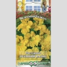 Настурция Осенний вальс