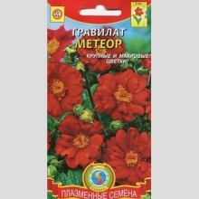 Гравилат Метеор