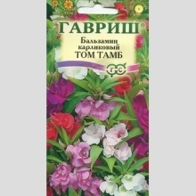 Бальзамин Том Тамб