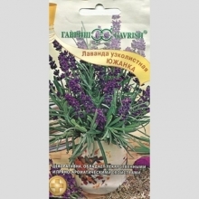 Лаванда Южанка