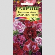 Гвоздика Махровое чудо смесь (китайская)