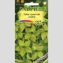 Табак Лайм душистый
