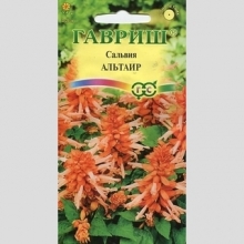 Сальвия Альтаир