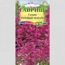 Сальвия Розовый монарх