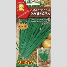 Лук Знахарь (душистый)