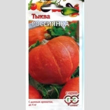 Тыква Россиянка