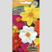 Георгина Бриджит смесь