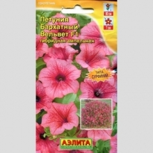 Петуния Бархатный вельвет F1