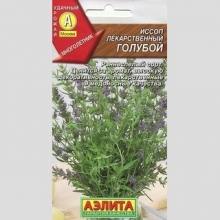 Иссоп Голубой