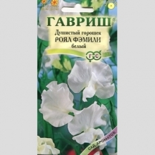 Горошек душистый Роял фэмили белый