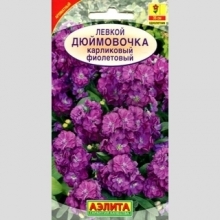 Левкой Дюймовочка Фиолетовый