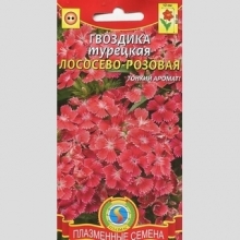 Гвоздика Лососево-розовая (турецкая)