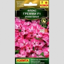 Флокс Гремми F1 розово-белый