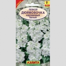 Левкой Дюймовочка Белый