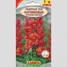 Львиный зев Карликовый оранжево-красный