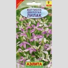 Маттиола Лилак (двурогая)