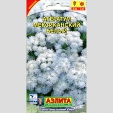 Агератум Мексиканский белый