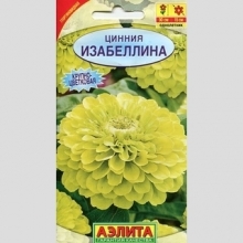 Цинния Изабеллина